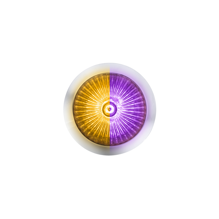 Double Fury 4 LED Dual Function 1-1/8" Spike Light - Amber &amp; Purple LED
