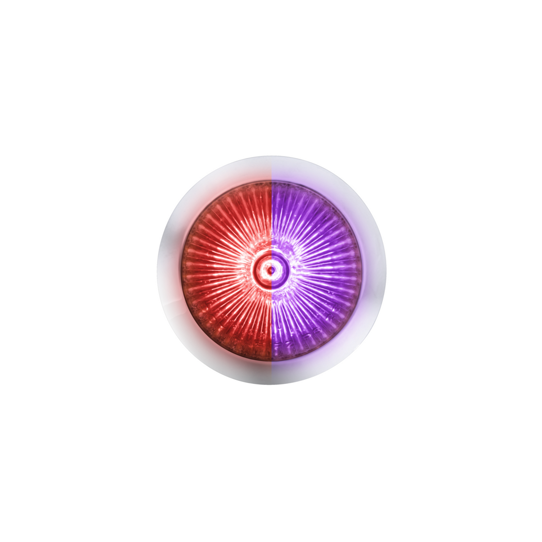 Double Fury 4 LED Dual Function 1-1/8" Spike Light - Red &amp; Purple LED