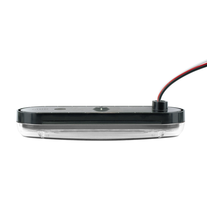 Saber 42 LED 6" Oval Light (Back-Up)-White LED/Clear Lens