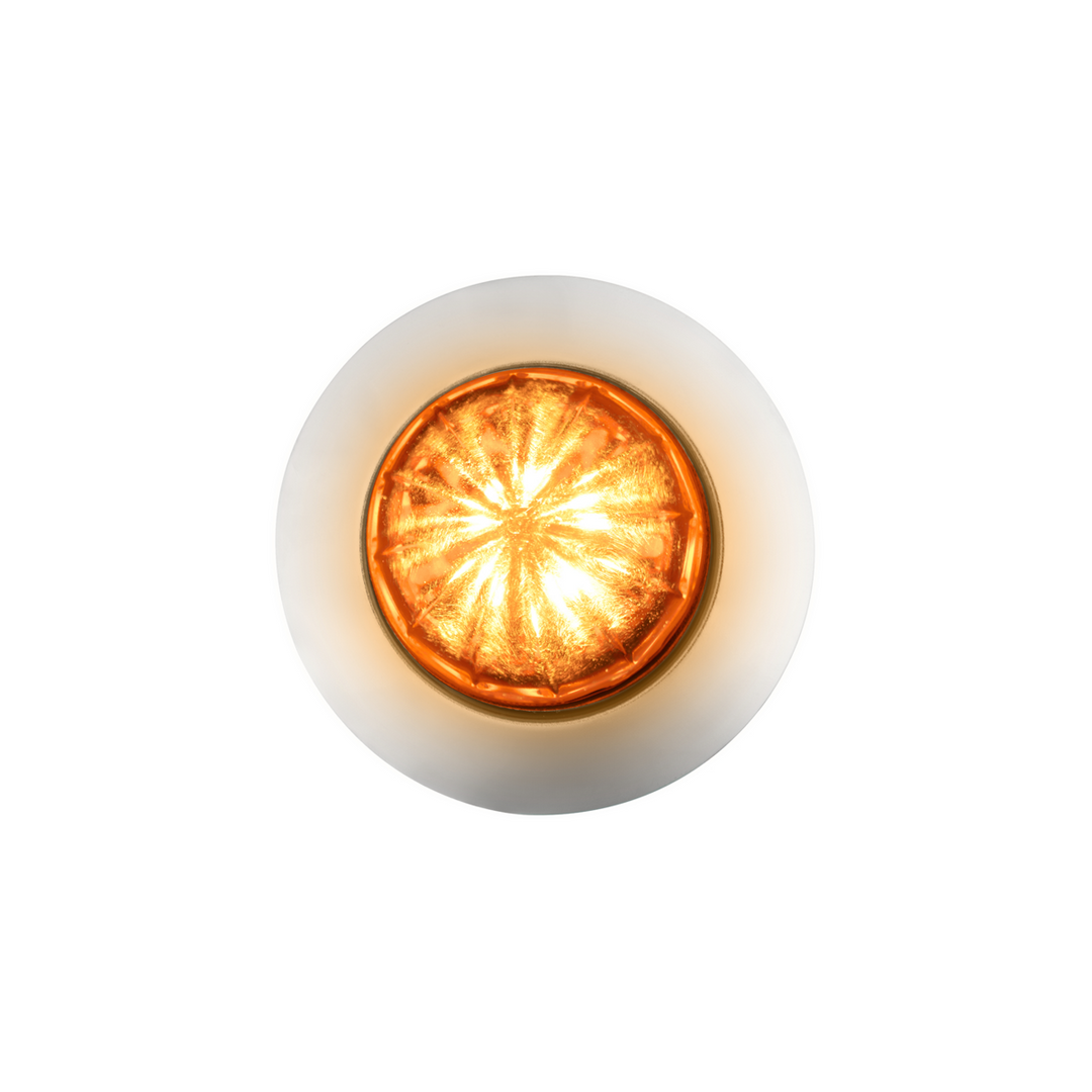 6 LED Dual Function 1-1/4" Watermelon Light With Stainless Steel Bezel