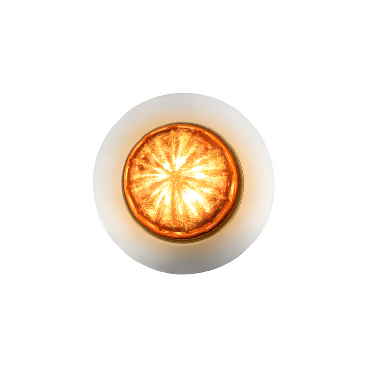 6 LED Dual Function 1-1/4" Watermelon Light With Stainless Steel Bezel