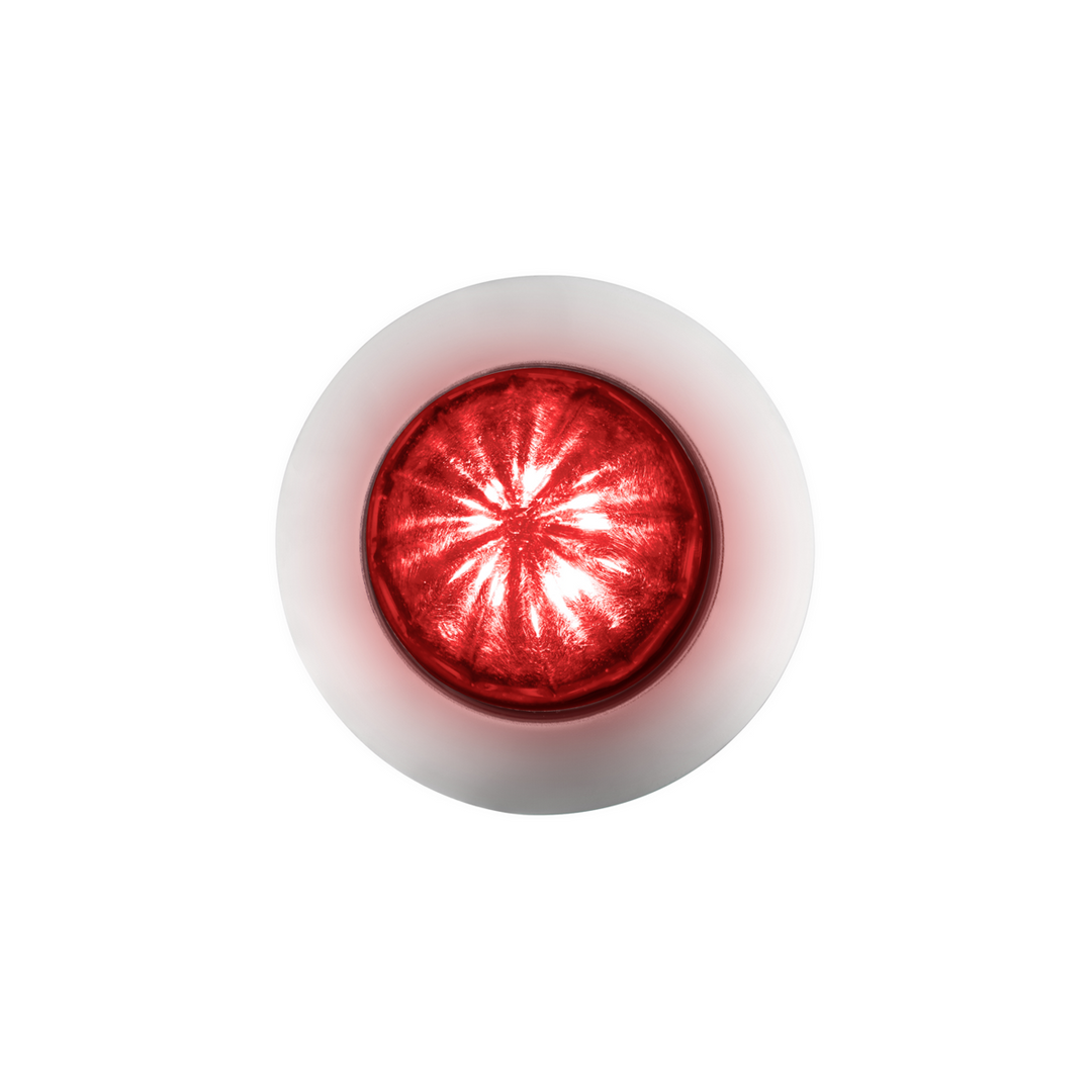 6 LED Dual Function 1-1/4" Watermelon Light With Stainless Steel Bezel