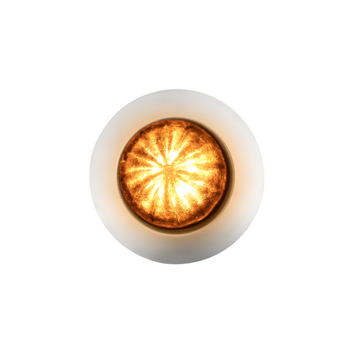 6 LED Dual Function 1-1/4" Watermelon Light With Stainless Steel Bezel