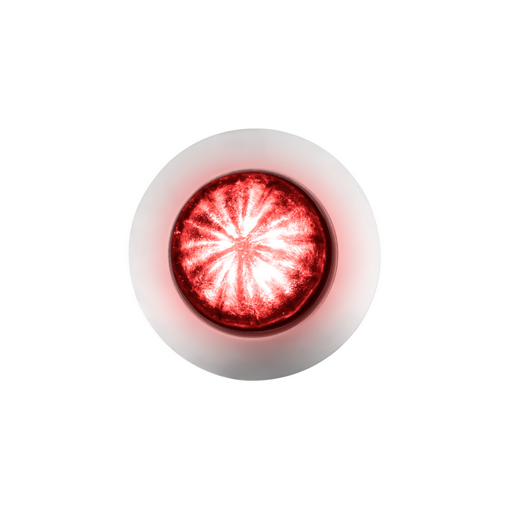 6 LED Dual Function 1-1/4" Watermelon Light With Stainless Steel Bezel