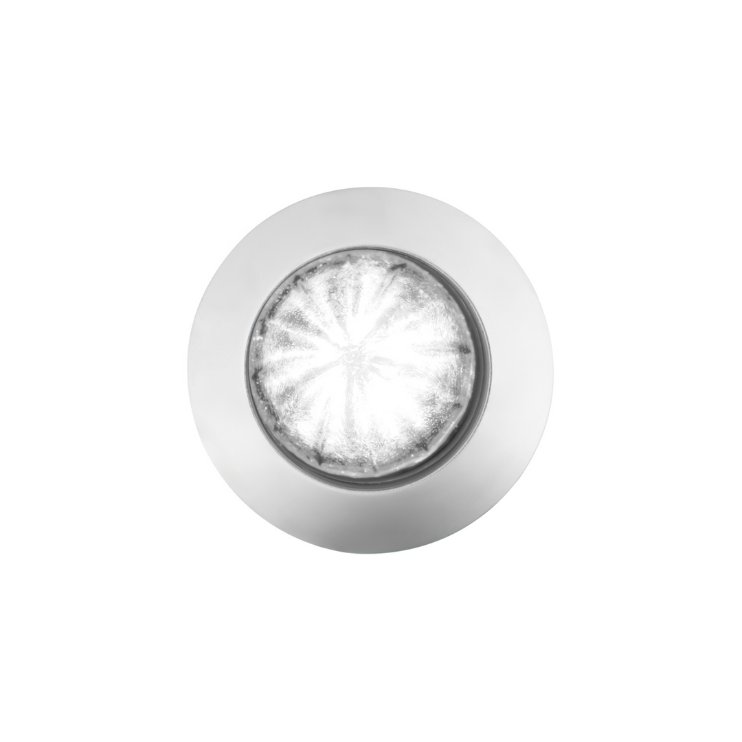 6 LED Dual Function 1-1/4" Watermelon Light With Stainless Steel Bezel