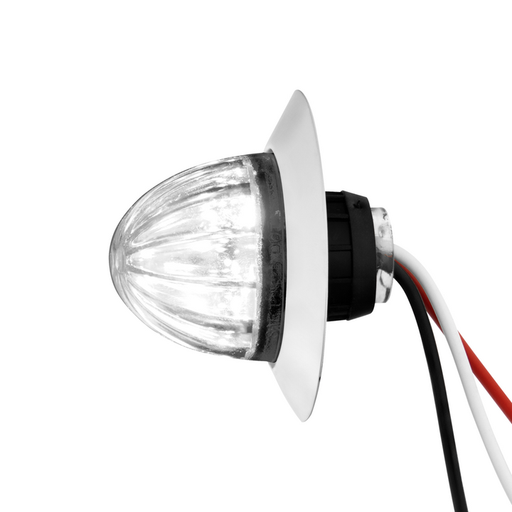 6 LED Dual Function 1-1/4" Watermelon Light With Stainless Steel Bezel
