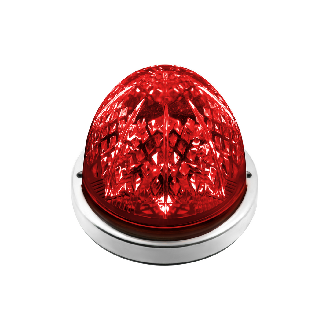 Crystal-Comet 9 LED Dual Function Watermelon Light With Stainless Steel Bezel