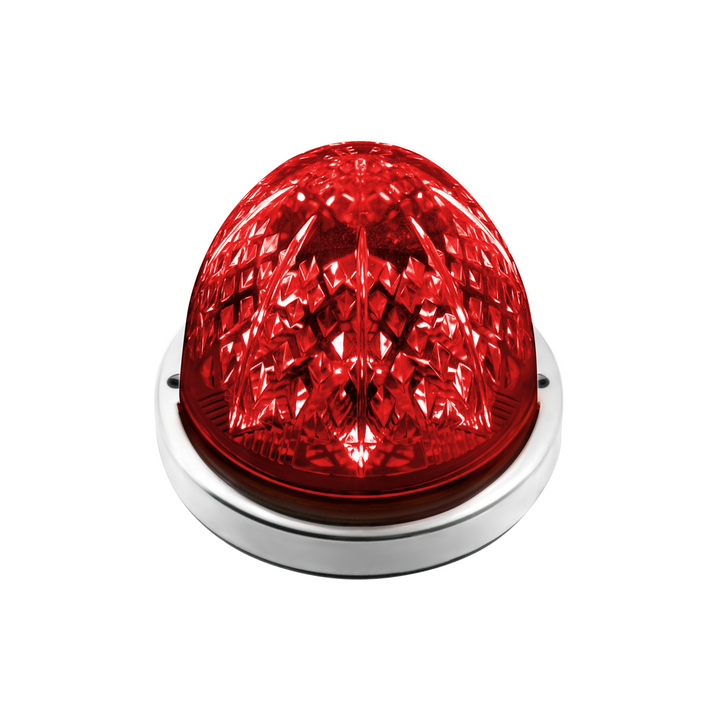 Crystal-Comet 9 LED Dual Function Watermelon Light With Stainless Steel Bezel