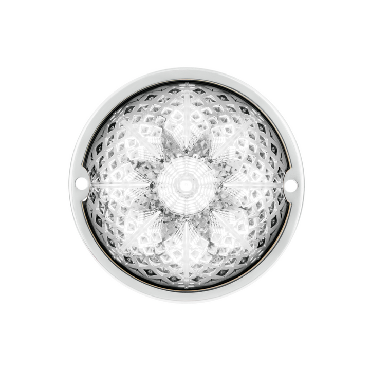 Crystal-Comet 9 LED Dual Function Watermelon Light With Stainless Steel Bezel