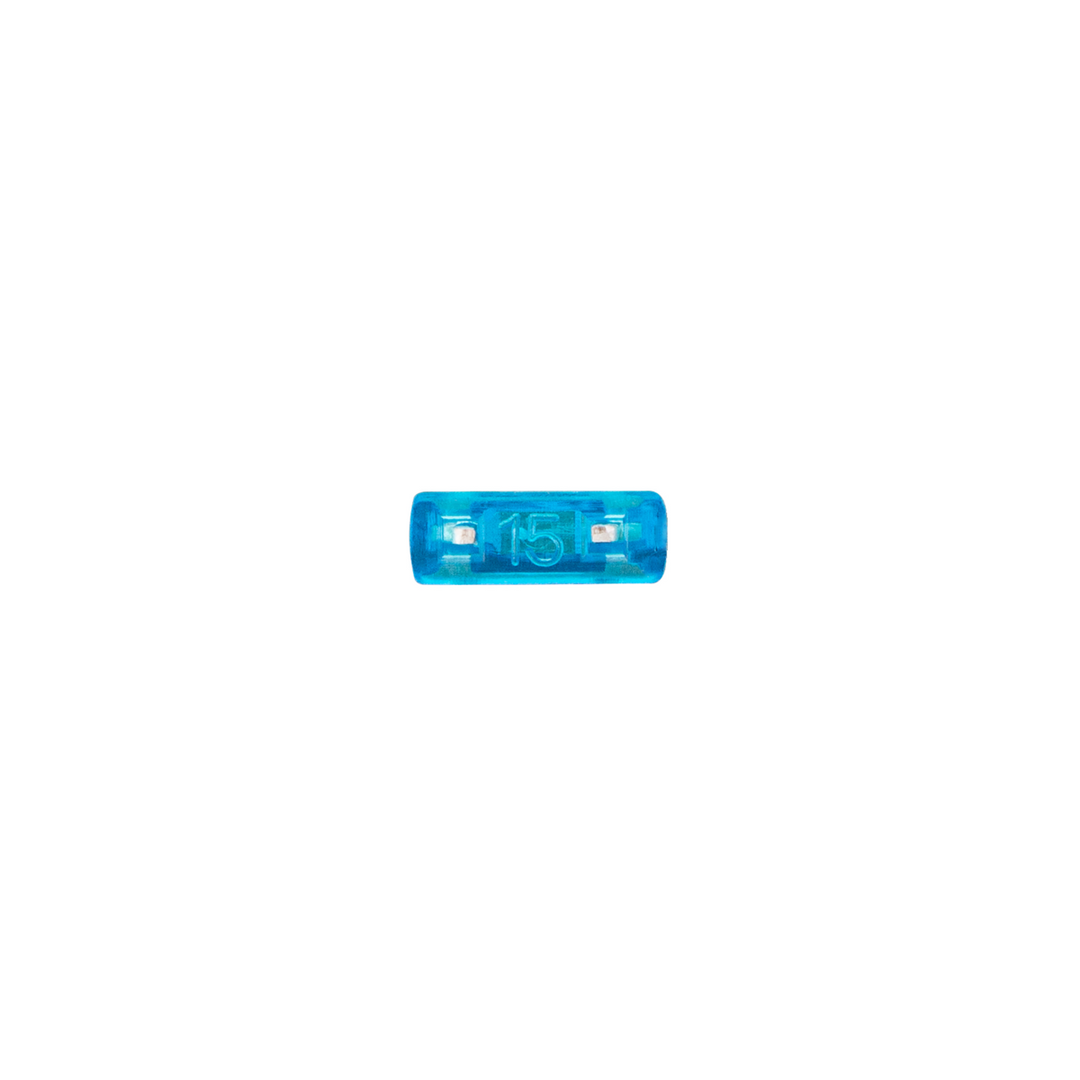 15 Amp Blue Mini Fuse (2-Pack)