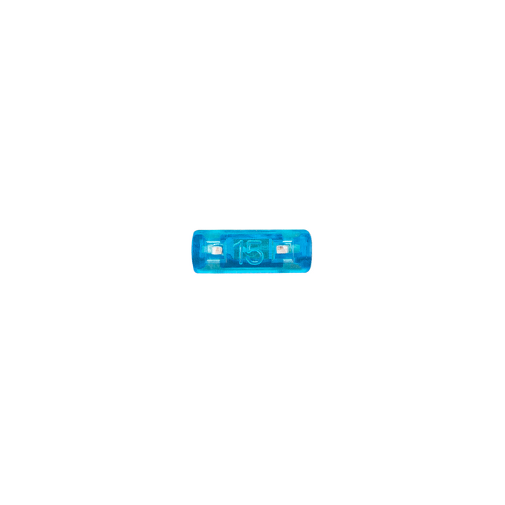 15 Amp Blue Mini Fuse (2-Pack)