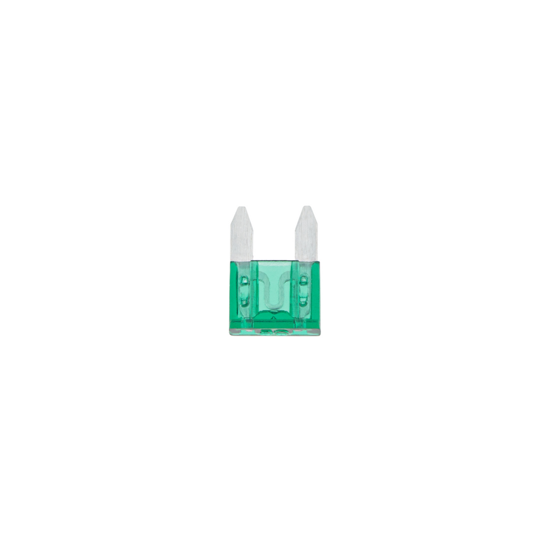 30 Amp Green Mini Fuse (2-Pack)