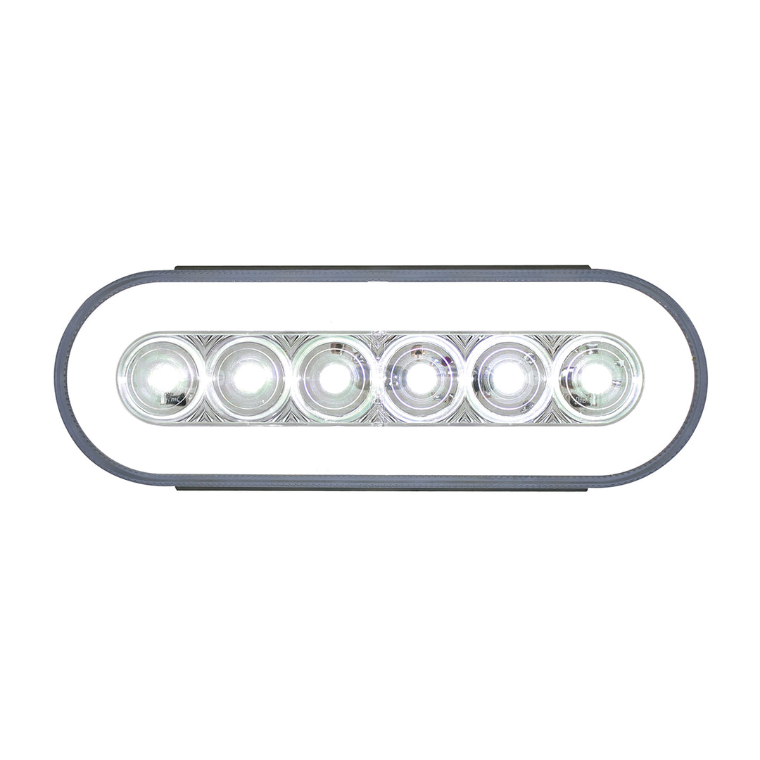 22 LED 6" Oval GloLight (Back-Up) (Bulk)