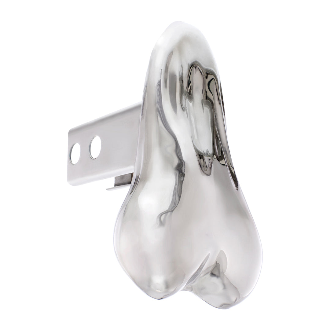 Stainless Steel Low - Hanging Balls Hitch Cover