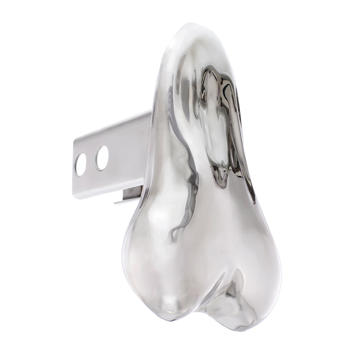 Stainless Steel Low - Hanging Balls Hitch Cover