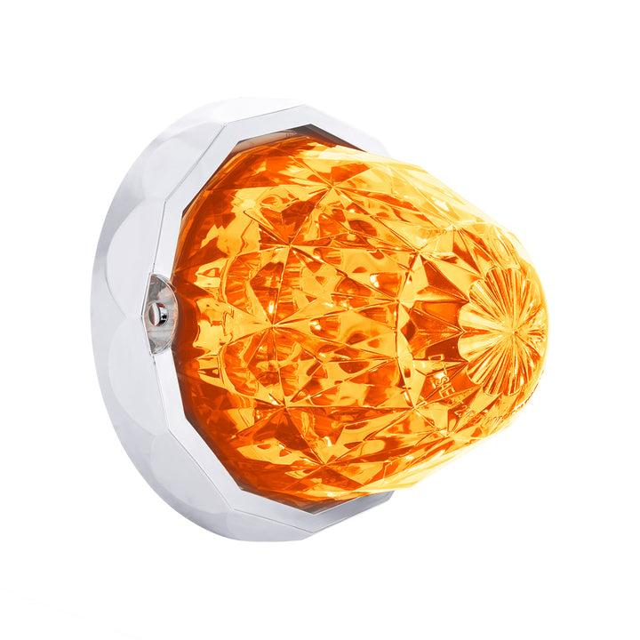 19 LED Dual Function Crystal Watermelon Light Kit With Bezel - Amber LED/Clear Lens