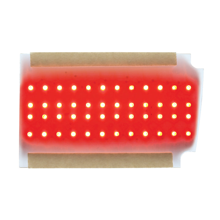 LED Tail Light Insert Board For 1970 Chevy Chevelle - R/H - View 1