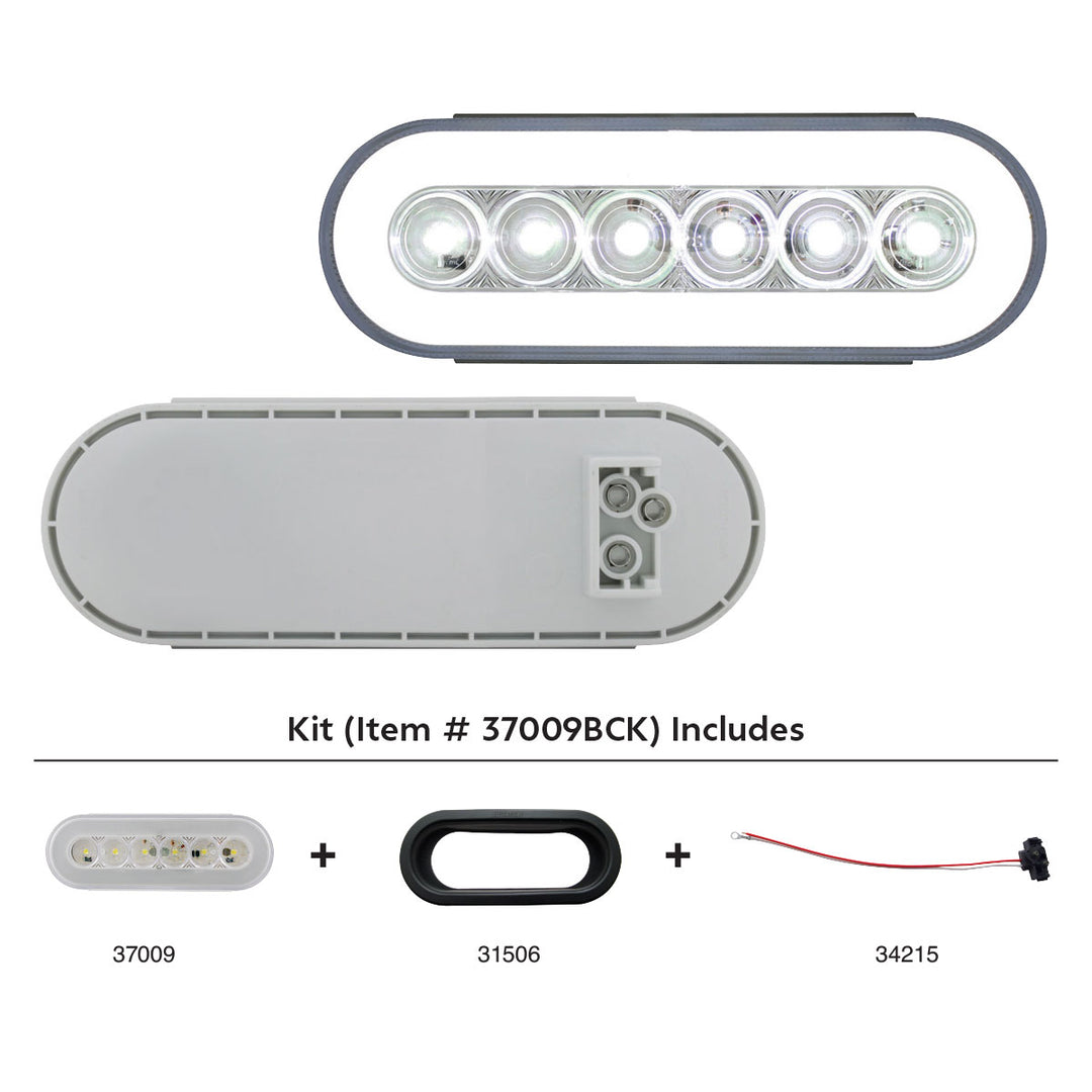 22 LED 6" Oval GloLight Kit (Back-Up) - View 1